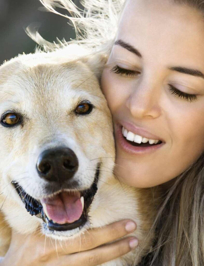 Los mejores champúspara perros Magistral royal