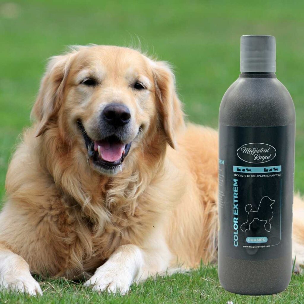 Champú para perros de esta raza y similares. conoce los mejores productos de higiene para tu mascota