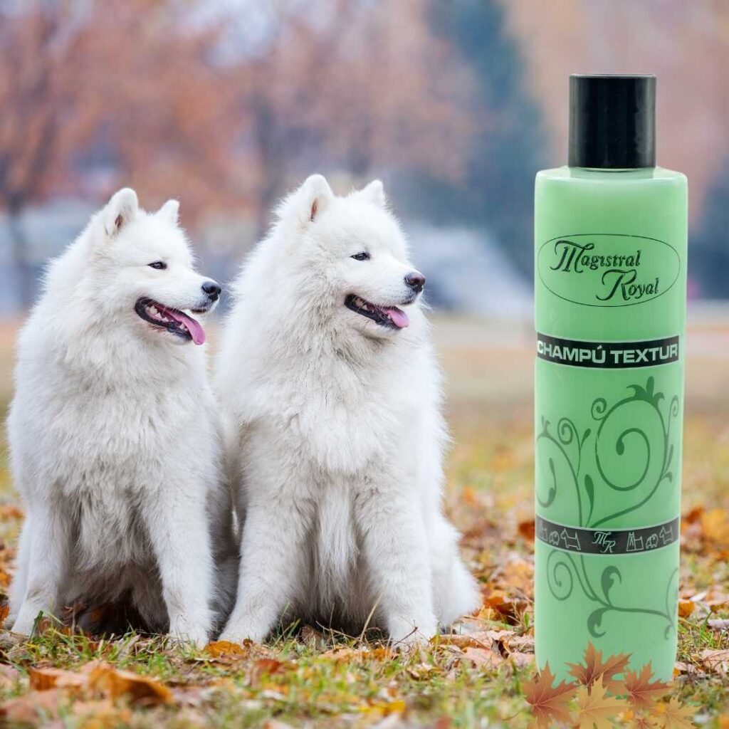 Champú para perros de esta raza y similares. conoce los mejores productos de higiene para tu mascota