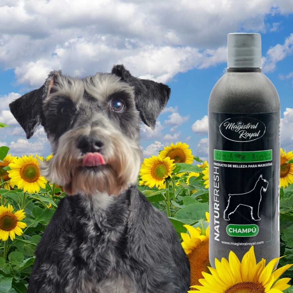 Champú para perros de esta raza y similares. conoce los mejores productos de higiene para tu mascota