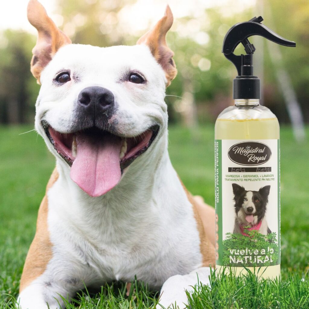 Spray protector anti insectos para perros y gatos - Magistral royal